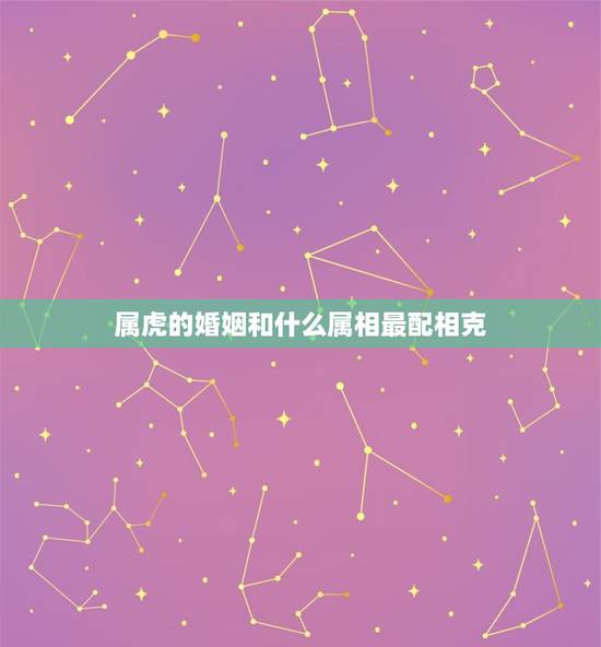 属虎的婚姻和什么属相最配相克(如何避免婚姻矛盾)