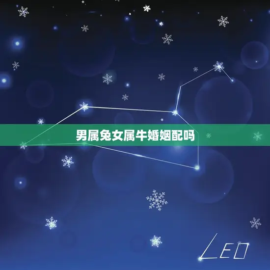 男属兔女属牛婚姻配吗