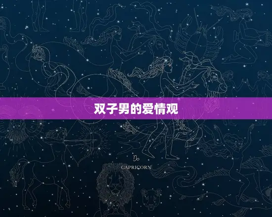 双子男的爱情观 双子男的爱情观
