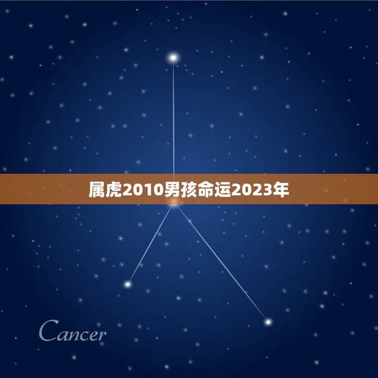 属虎2010男孩命运2023年(未来三年他将迎来怎样的转变)