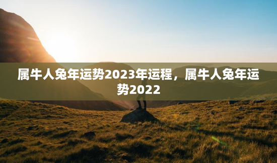 属牛人兔年运势2023年运程，属牛人兔年运势2022