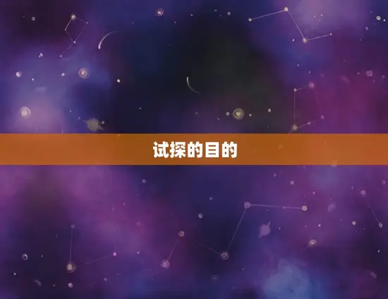 试探的目的