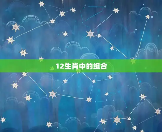 12生肖中的组合 12生肖中的组合