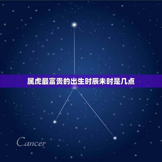 属虎最富贵的出生时辰未时是几点(介绍属虎人的财运奥秘) 属虎最富贵的出生时辰未时是几点(介绍属虎人的财运奥秘)