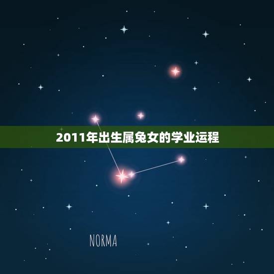 2011年出生属兔女的学业运程(顺风顺水前途光明)
