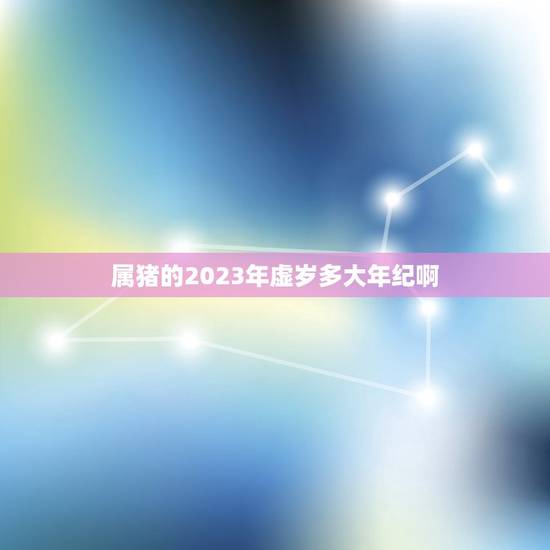 属猪的2023年虚岁多大年纪啊(猪年大吉猪宝宝多福多寿)