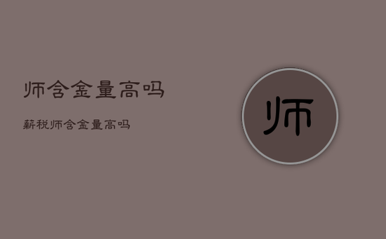 师含金量高吗，薪税师含金量高吗