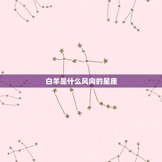 白羊是什么风向的星座