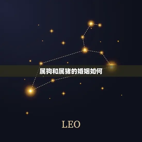 属狗和属猪的婚姻如何