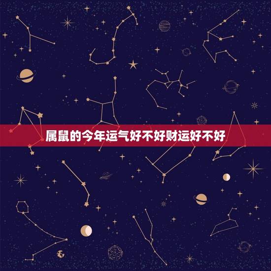 属鼠的今年运气好不好财运好不好(介绍2023年属鼠的运势)