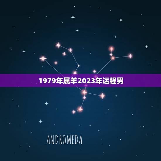 1979年属羊2023年运程男(运势大介绍)