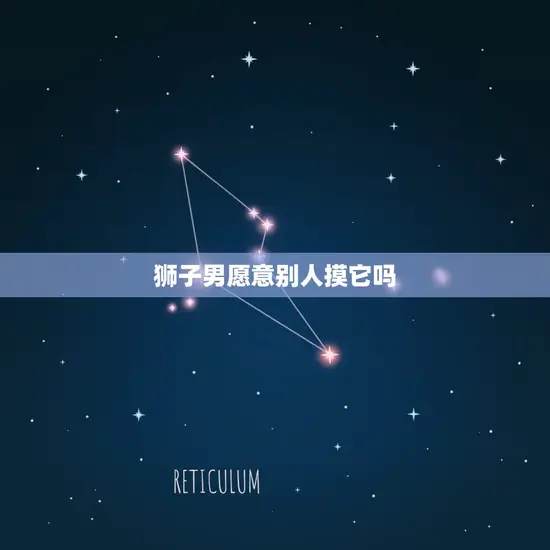 狮子男愿意别人摸它吗