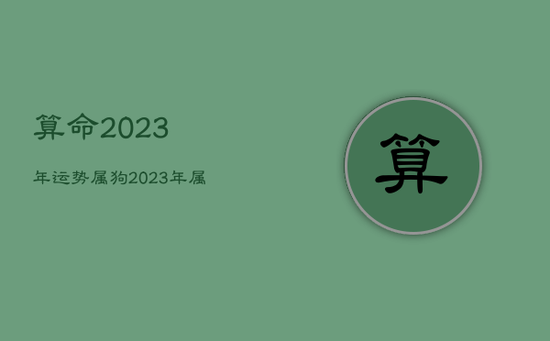 算命2023年运势属狗，2023年属狗的运势怎么样