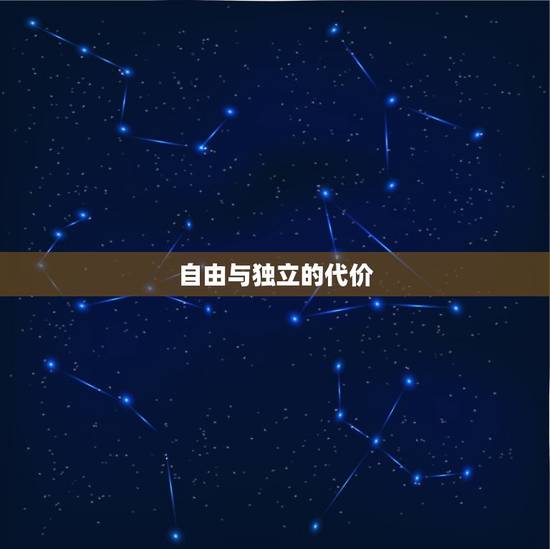 自由与独立的代价