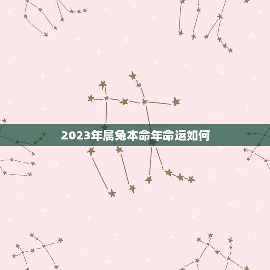 2023年属兔本命年命运如何(详解属兔人的运势走向)