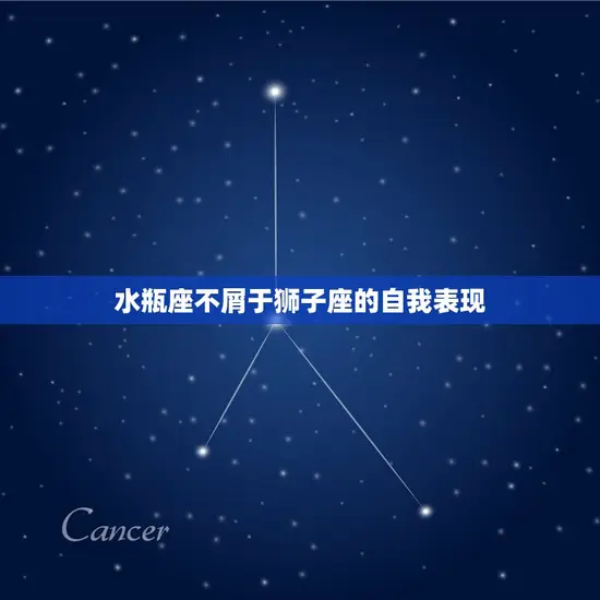 水瓶座不屑于狮子座的自我表现 水瓶座不屑于狮子座的自我表现