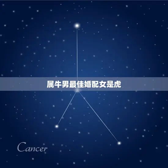 属牛男最佳婚配女是虎
