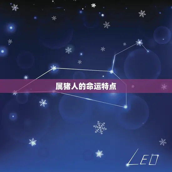 属猪人的命运特点
