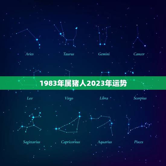 1983年属猪人2023年运势(猪年大吉财运亨通)