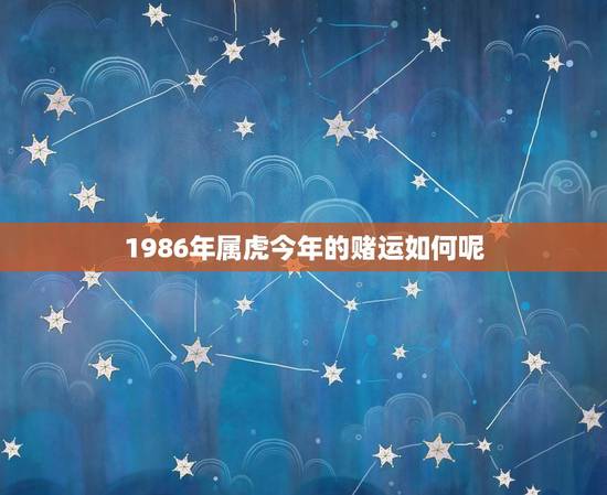 1986年属虎今年的赌运如何呢(赌场里的幸运星)