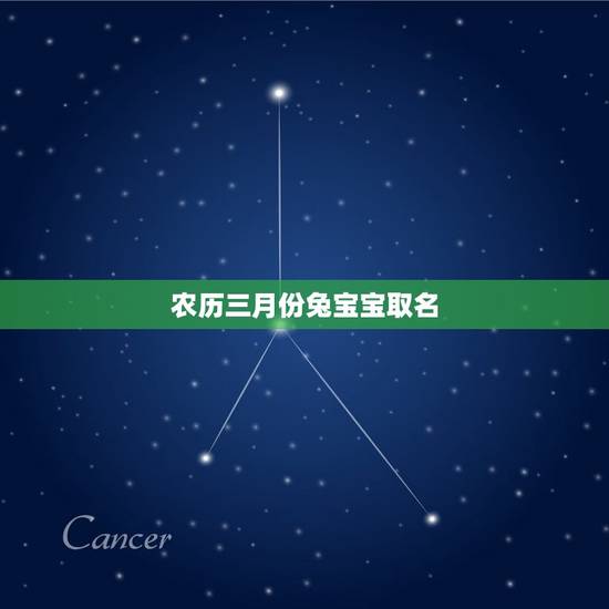 农历三月份兔宝宝取名(给兔宝宝取名的方法和注意事项)