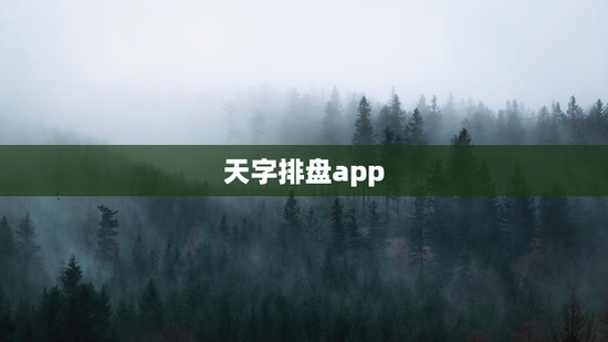 天字排盘app,天命八字app 天字排盘app,天命八字app