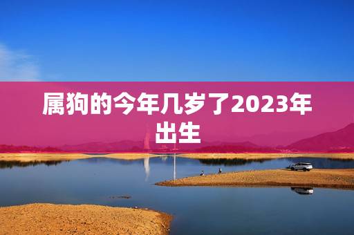 属狗的今年几岁了2023年出生(如何预测未来的运势)