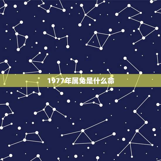 1977年属兔是什么命(详解属兔人的性格和命运)