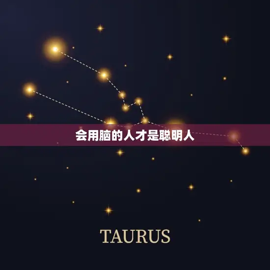 会用脑的人才是聪明人