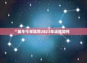 属牛今年运势2023年运程如何(介绍牛年运势展望未来)
