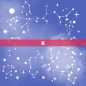 洞察人心最厉害的生肖(介绍十二生肖中的心理高手)