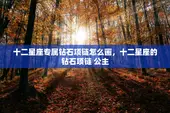 十二星座专属钻石项链怎么画，十二星座的钻石项链 公主