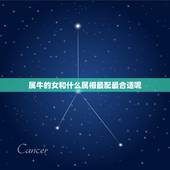 属牛的女和什么属相最配最合适呢(如何选择配偶)