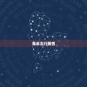 2023兔五行缺什么(探寻兔年五行不足之处)
