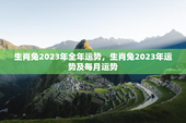 生肖兔2023年全年运势，生肖兔2023年运势及每月运势