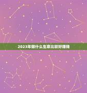2023年做什么生意比较好赚钱(趋势预测)