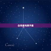 白羊座跟哪个星座合适(星座匹配大介绍)