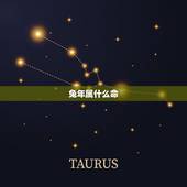 2023兔年属什么命(解读兔年生肖命运)