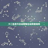十二生肖今日运势每日运势查询鸡(好运连连财源滚滚)