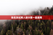 姓名测试两人缘分第一星座网，姓名测试两人缘分测试