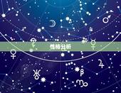 92猴和95猪合不合(十二生肖配对分析)