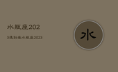 水瓶座2023遇到爱，水瓶座2023遇到爱会怎样