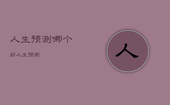 人生预测哪个好，人生预测
