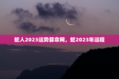 蛇人2023运势算命网，蛇2023年运程