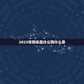 2023年狗年是什么狗什么命(介绍2023年出生的狗狗命运)