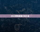 2023男兔宝宝小名大全(给你最可爱的兔子命名灵感)