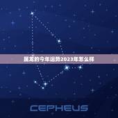 属龙的今年运势2023年怎么样(龙行天下运势旺盛)