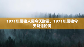 1971年属猪人男今天财运，1971年属猪今天财运如何