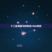 十二生肖属马的命运1966年份(马年人的命运如何)