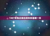 1987年兔正缘出现年份是哪一年？(介绍兔正缘的历史背景)